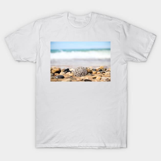 Petoskey Stone on Lake Michigan Beach T-Shirt by opptop